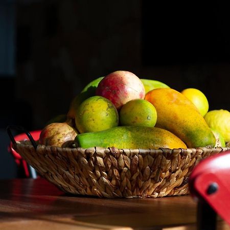Finca Arbequina Pájara Zewnętrze zdjęcie